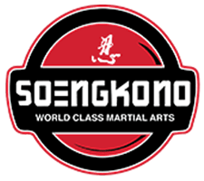 Soengkono Martial Arts