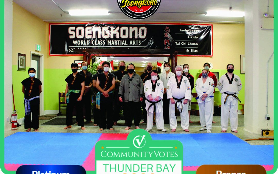 We’ve Won Platinum in the Thunder Bay CommunityVotes Martial Arts Category!